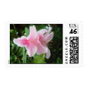 Rhododendron Flowers postage by LivingNature Rhododendron Flowers postage