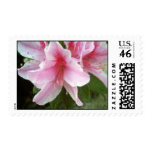 Rhododendron Flowers Postage Stamps