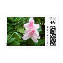 Rhododendron Flowers Postage Stamps