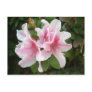 Rhododendron Flowers