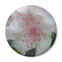 Rhododendron magnets by adifferentstory Rhododendron magnets