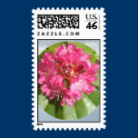 Rhododendron Postage stamps