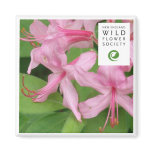 Rhododendron prinophyllum magnet