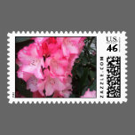 Rhododendron US Postage postage