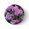 Rhododendrons buttons
