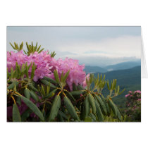 Rhododendrons Greeting Card