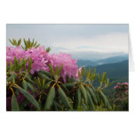 Rhododendrons cards