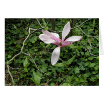 Rhododendrons cards