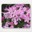 Rhododendrons II mousepads by artberry Rhododendrons II mousepads