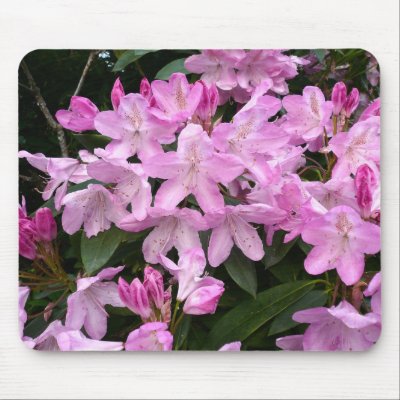 Rhododendrons II Mouse Mat by artberry