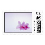Rhododendrons Postage Stamp