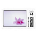 Rhododendrons Postage Stamp