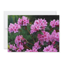 Rhododendrons, Quebec, Canada Invites