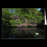 Rhododendrons, Roath Park Lake, Cardiff cards