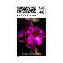 Rhododendrum postage