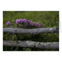 Rhodos-N-Rails Greeting Card