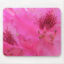 Rhody 46a ~ mousepad by Andy2302 Rhody 46a ~ mousepad