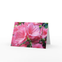 Rhody cards
