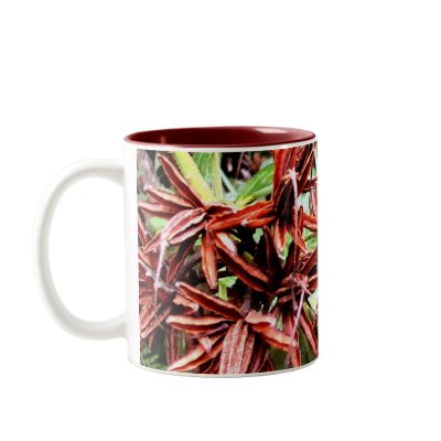 Rhody Seeds Coffee Mugs by lbyman