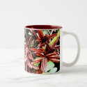 Rhody Seeds mugs by lbyman Rhody Seeds mugs