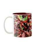 Rhody Seeds mugs