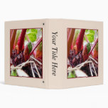 Rhubarb Sprouting In The Spring Garden Binder