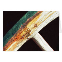 Rhyolite #5 cards by Sonomacats Rhyolite #5 cards