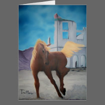 Rhyolite Pony cards