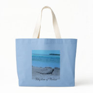 Rhythm of Belize Iguana by the sea bag