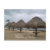 belize, ambergris, caye, san, pedro, beach,
