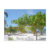 belize, san, pedro, cay, caulker, vacation, beach,