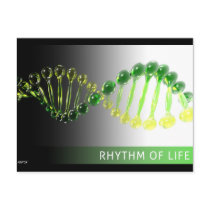 Rhythm of Life postcards
