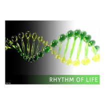Rhythm of Life posters by flyingdiscs Rhythm of Life posters