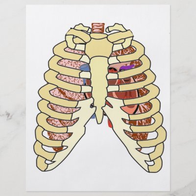 Rib Cage Lungs Heart Flyer Design by HalloweenSpirit