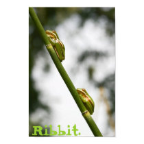 Ribbit posters