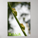 Ribbit posters