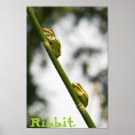 Ribbit Posters