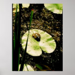 Ribbit Posters