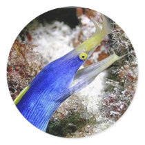 Ribbon Eel stickers by rudcpr Ribbon Eel stickers