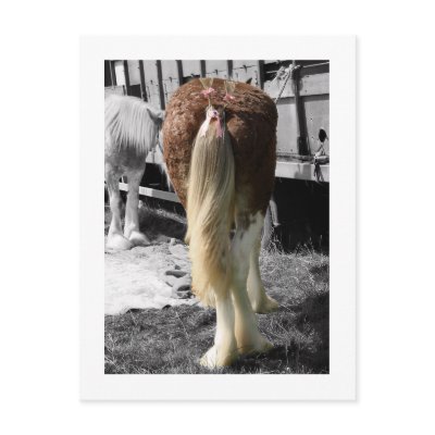 Ribbons & Bows Show Horse Postcard by Artworks