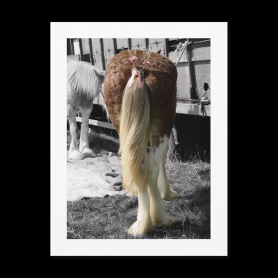 Ribbons & Bows Show Horse Postcard by Artworks