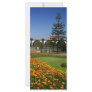 Ribeira Grande gardens Rack Cards