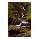 Ribon Waterfall  Print
