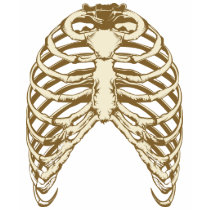 Ribs T-Shirt