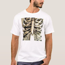 ribs t-shirts