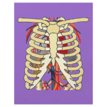Ribs Veins Enlarged Heart flyers by HalloweenSpirit Ribs Veins Enlarged Heart flyers