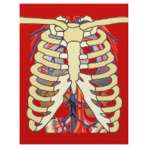 Ribs Veins Enlarged Heart Customized Letterhead