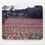 Rice drying in field ROK 77 Mouse Mats