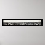 Rice Fields LA Photo 1910 posters