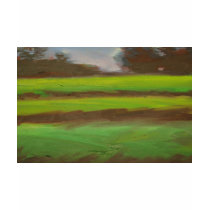 Rice Fields t-shirts by mogulpainting Rice Fields t-shirts